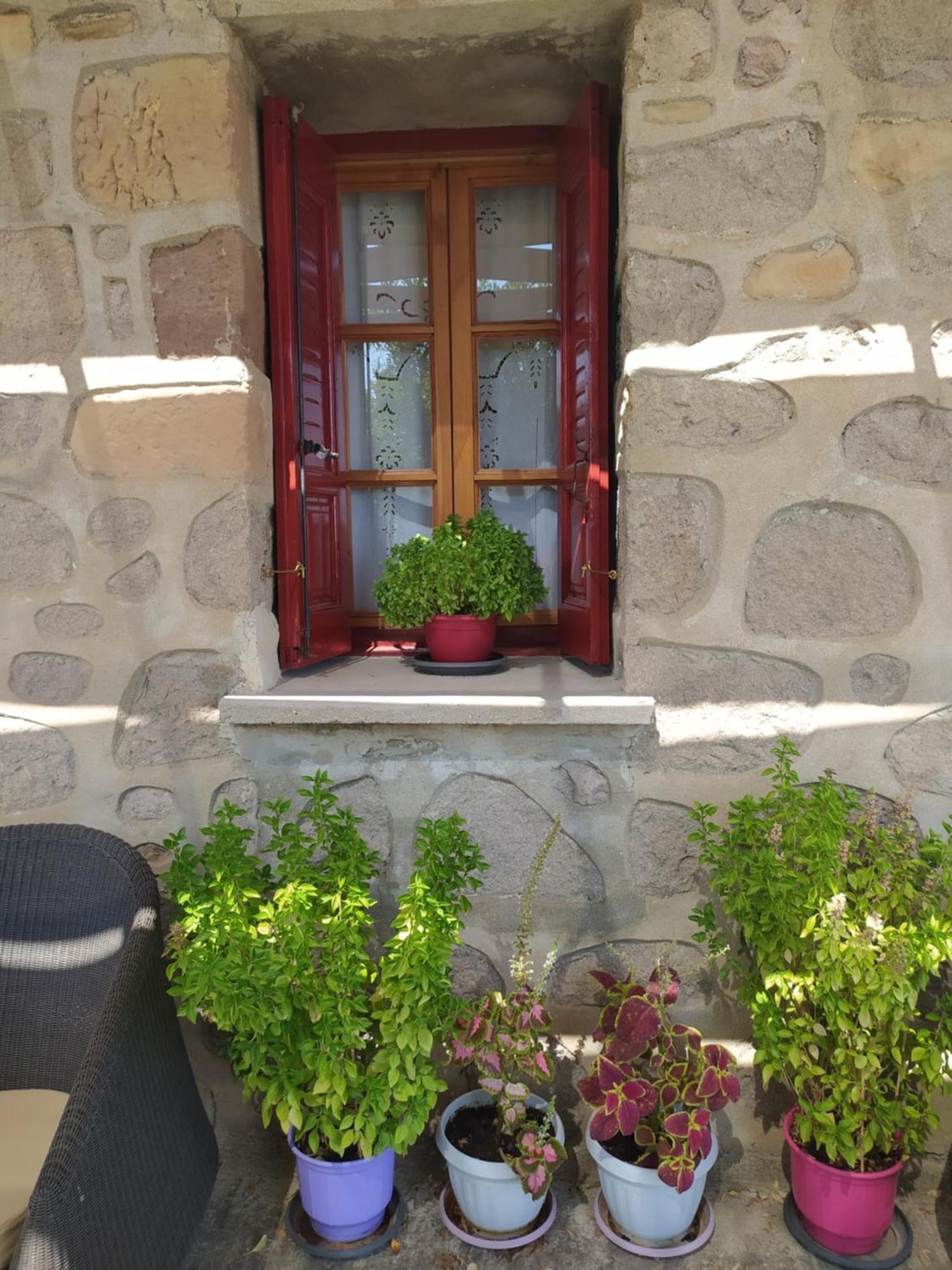 Cozy House With Amazing Sea View Διαμέρισμα Kaminia  Εξωτερικό φωτογραφία